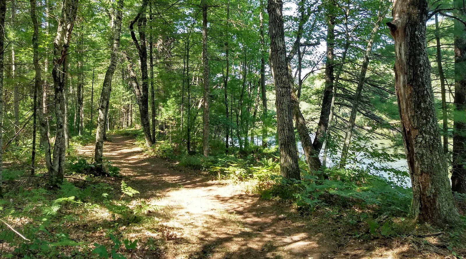 East Fork campground