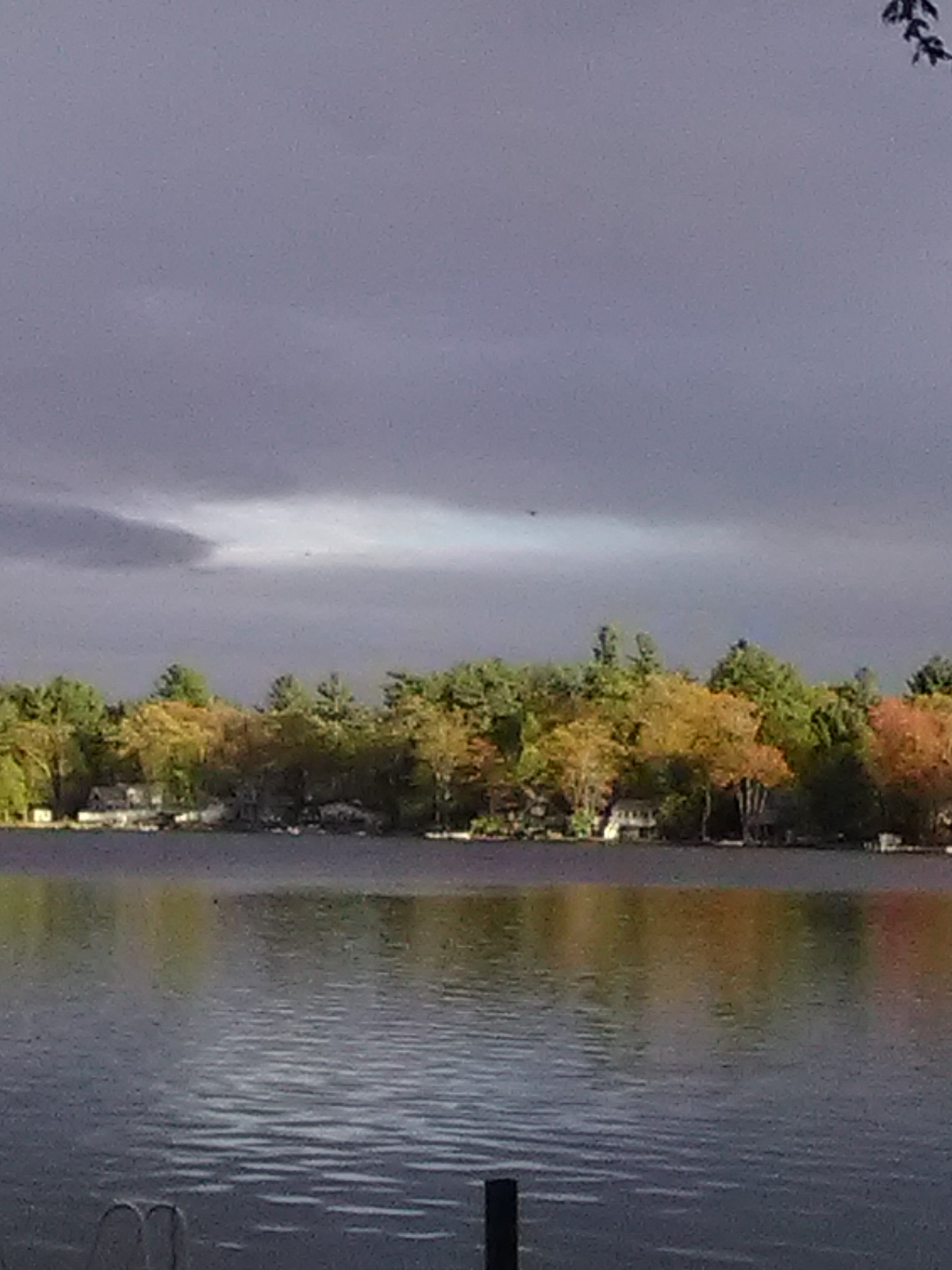 Angle Pond Grove Camping & Recreation Area