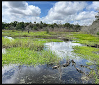 Myakka River State Park