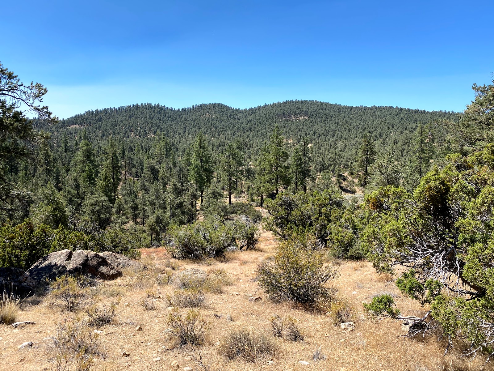 Pine Spring Campground