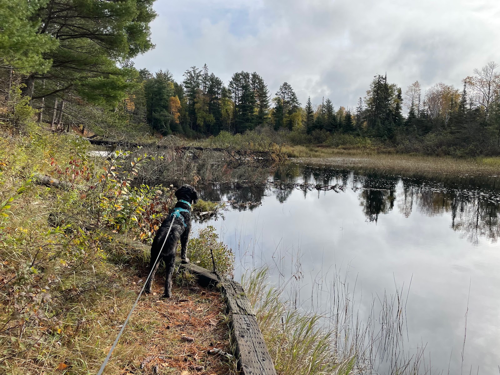 McDougal Lake Campground