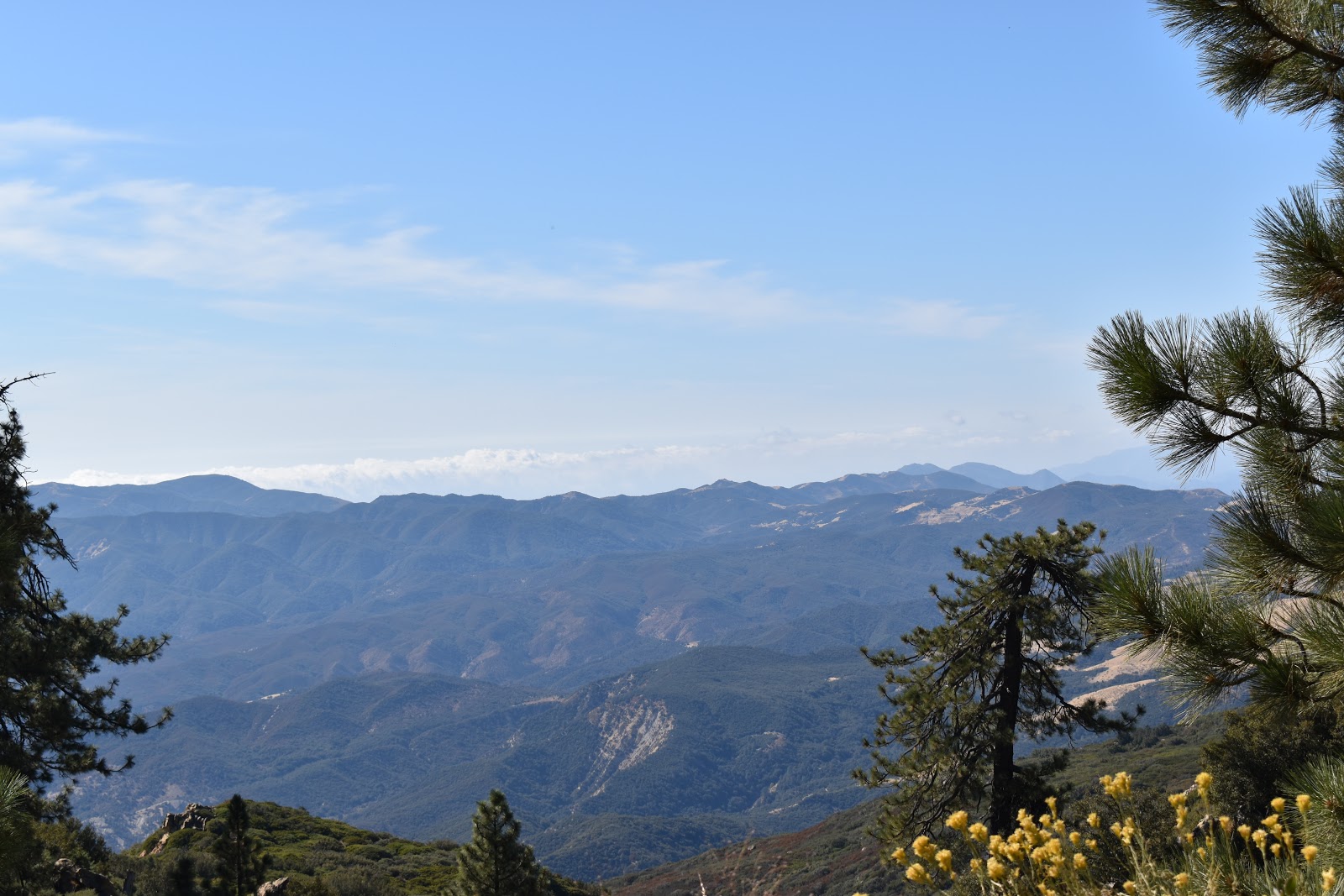 Pine Mountain Campground