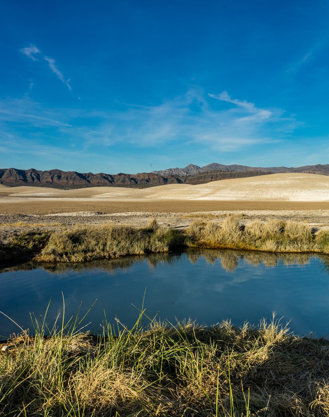 Peterson's Tecopa Palms RV Park