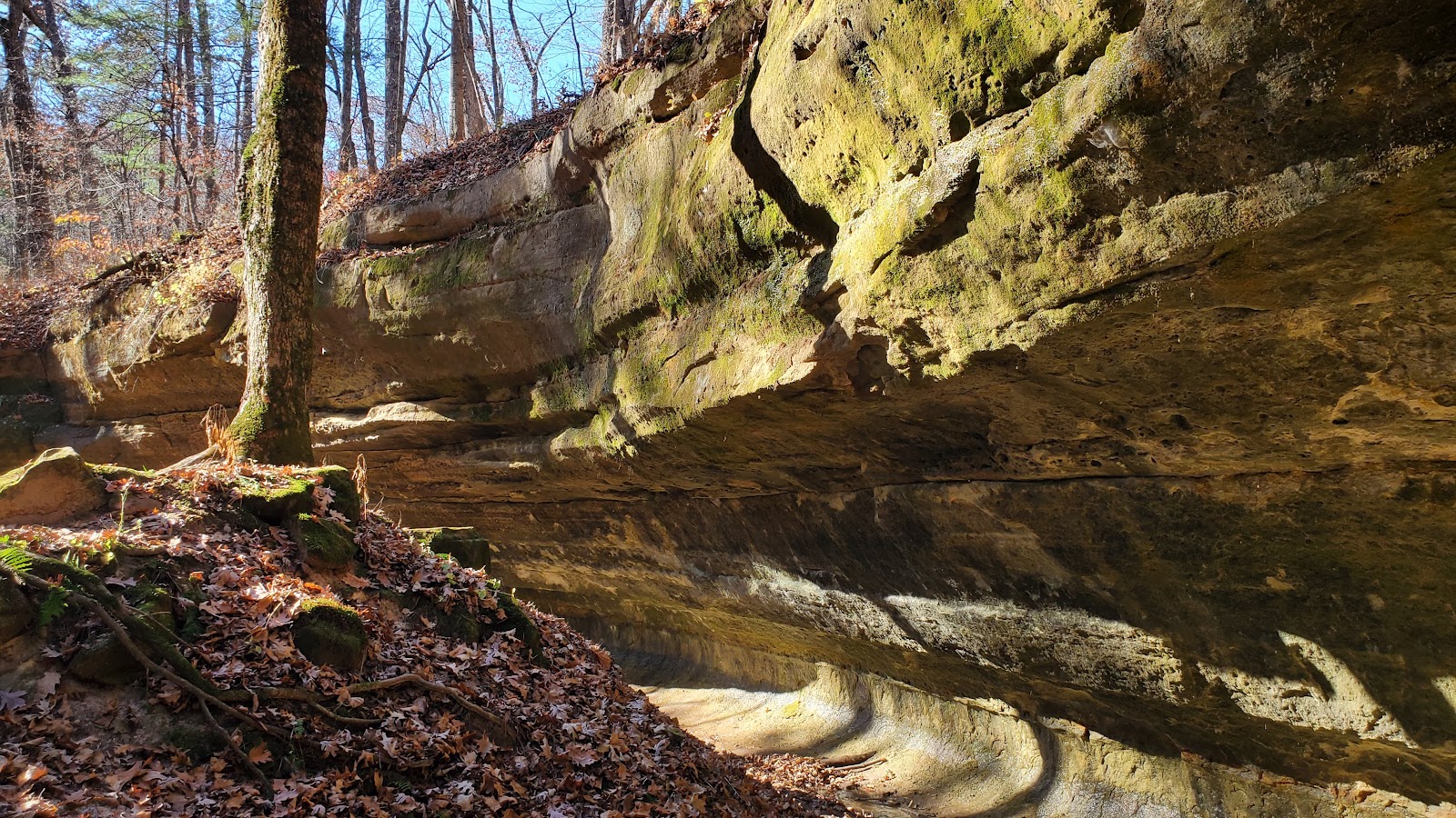 Family - Wildcat Mountain State Park