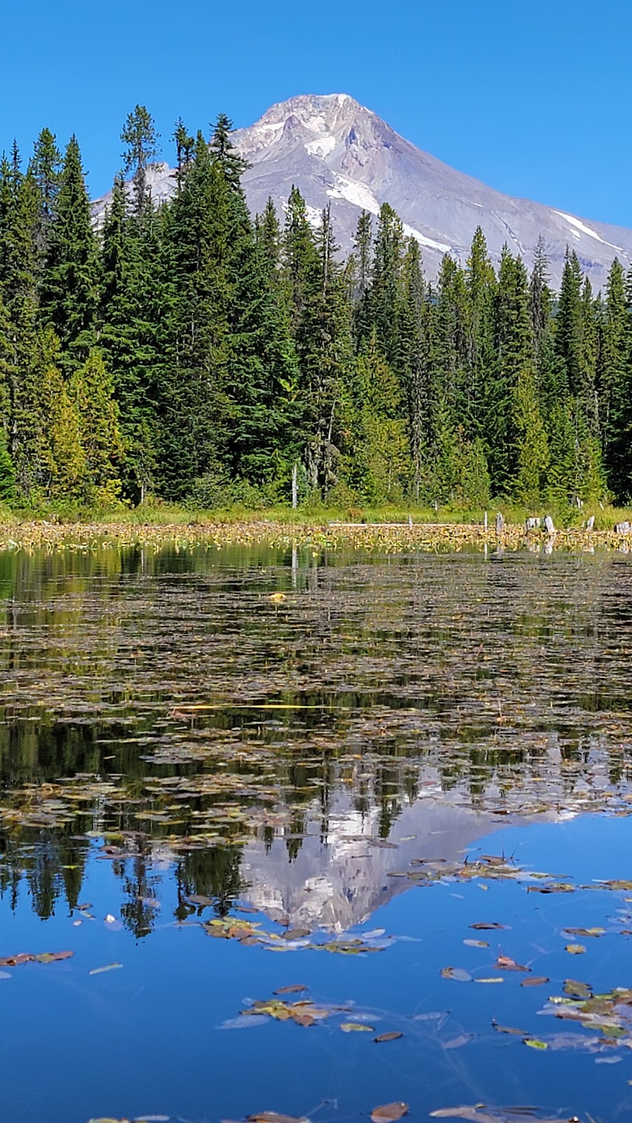 Trillium Lake Campground