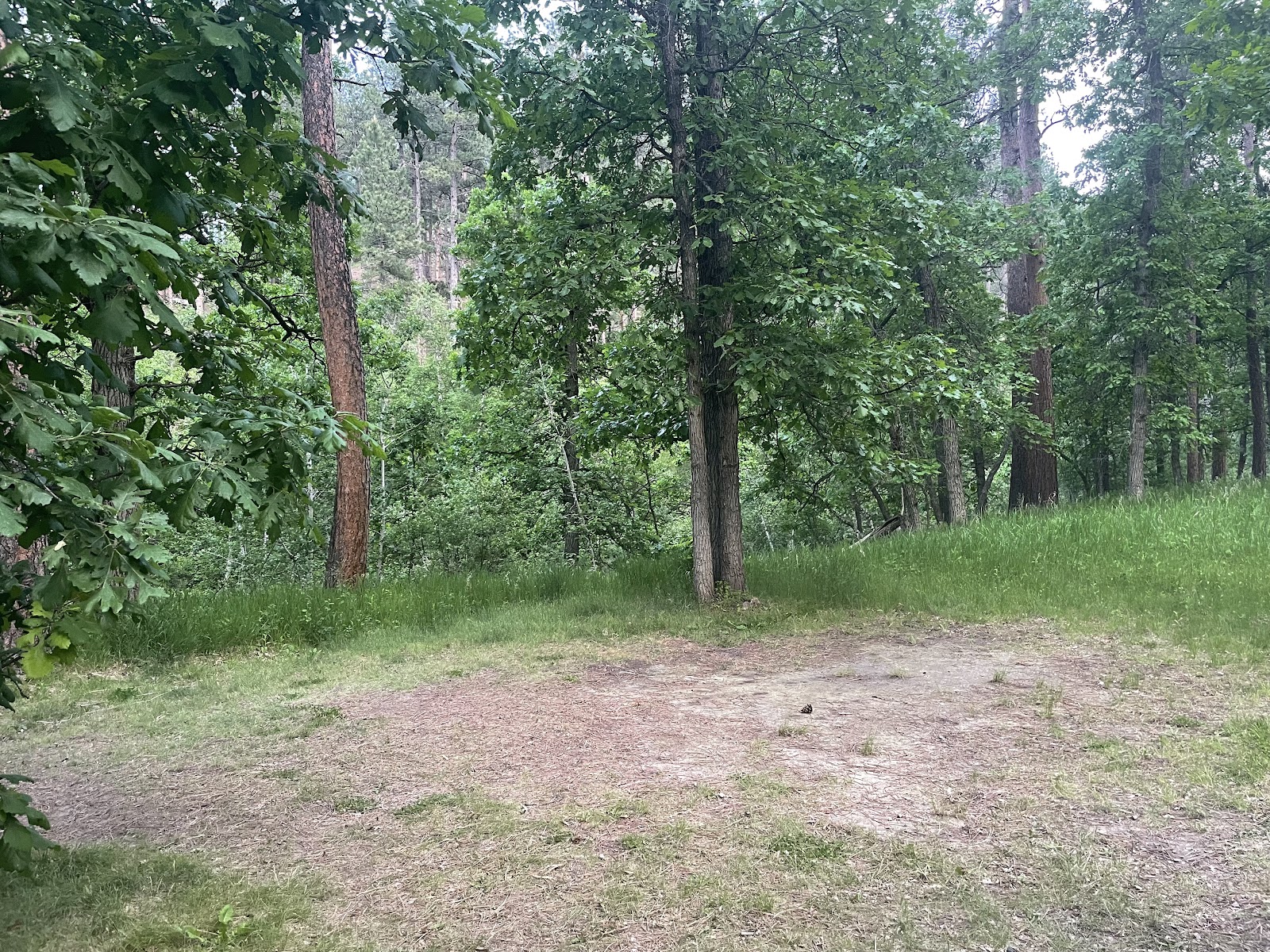 Grizzly Bear Campground