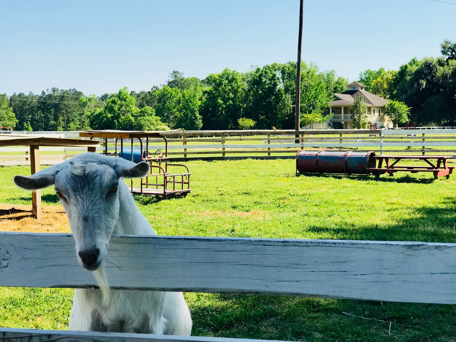 Red Gate Farms - RV Resort