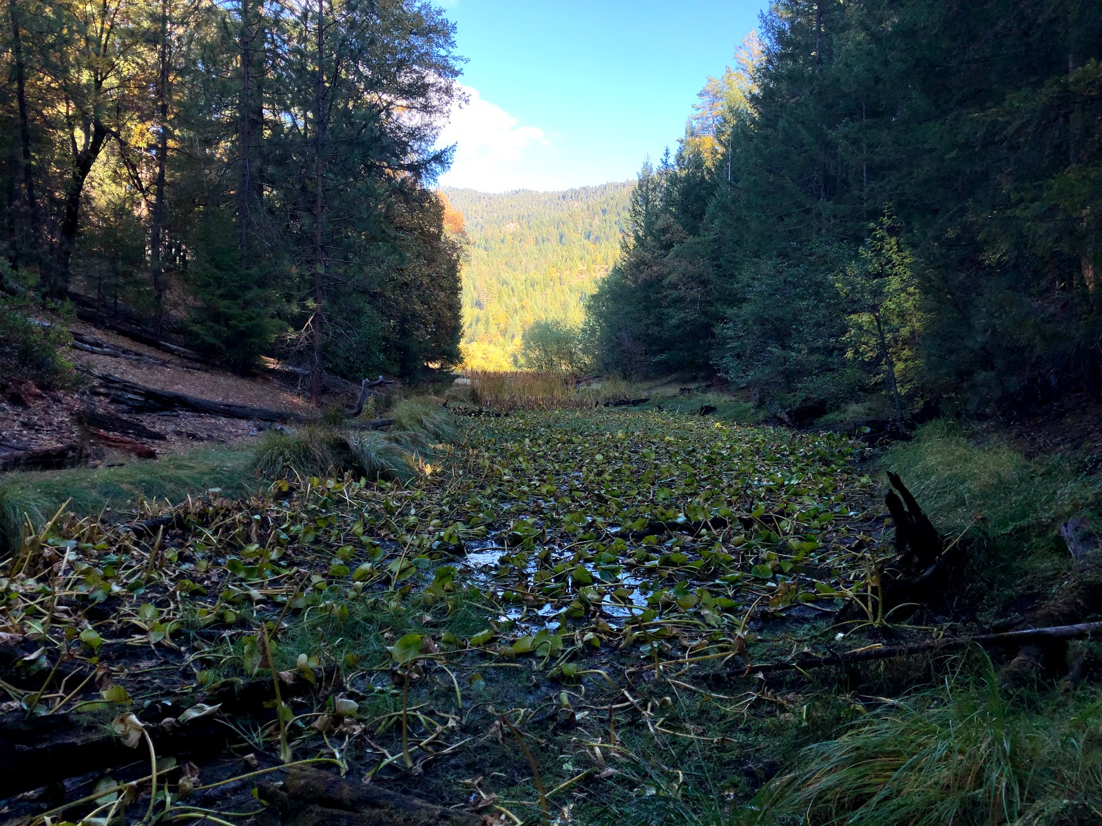 Howard Lake Campground