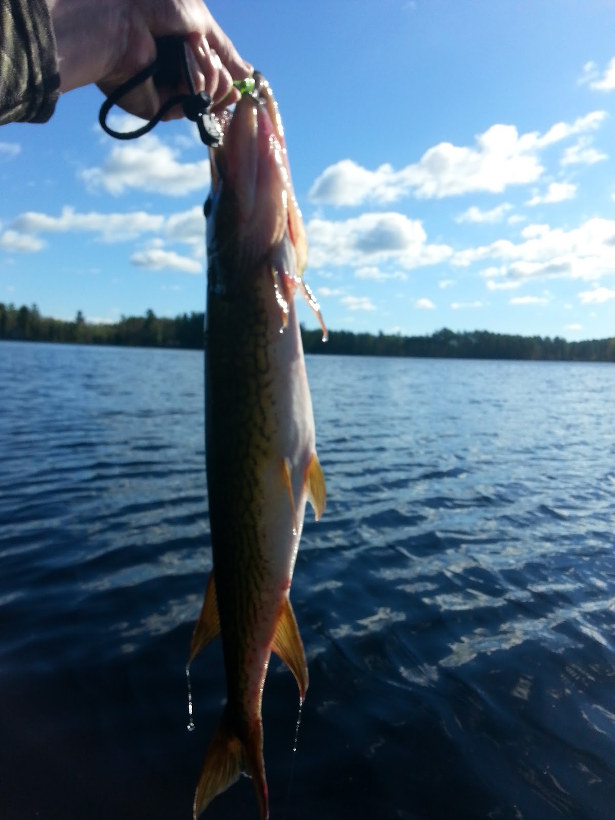 Whispering Pines Campground