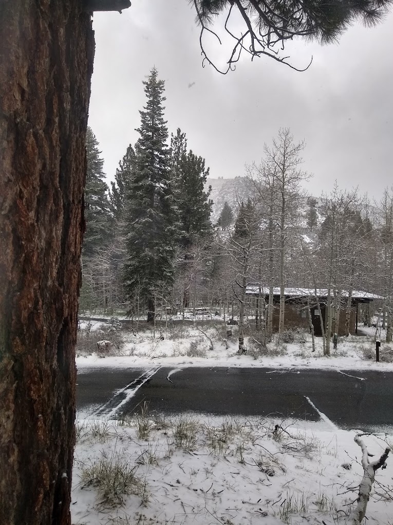 Reversed Creek Campground