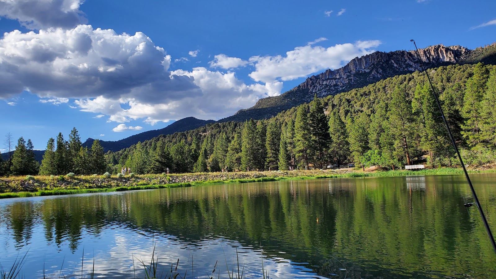 Pine Valley Equestrian Campground