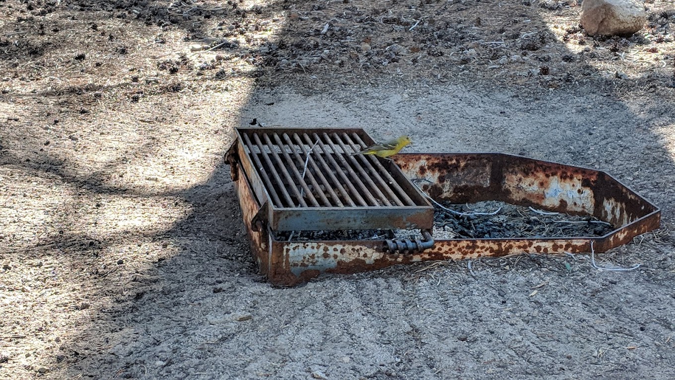 Bloomfield Campground