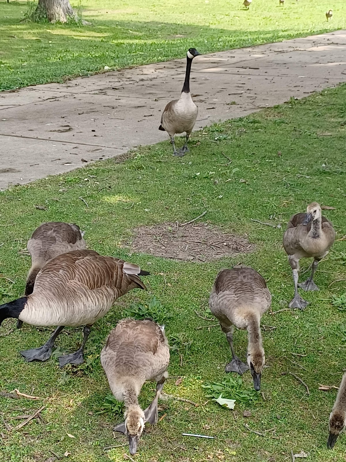 Kankakee Valley Park District Campground