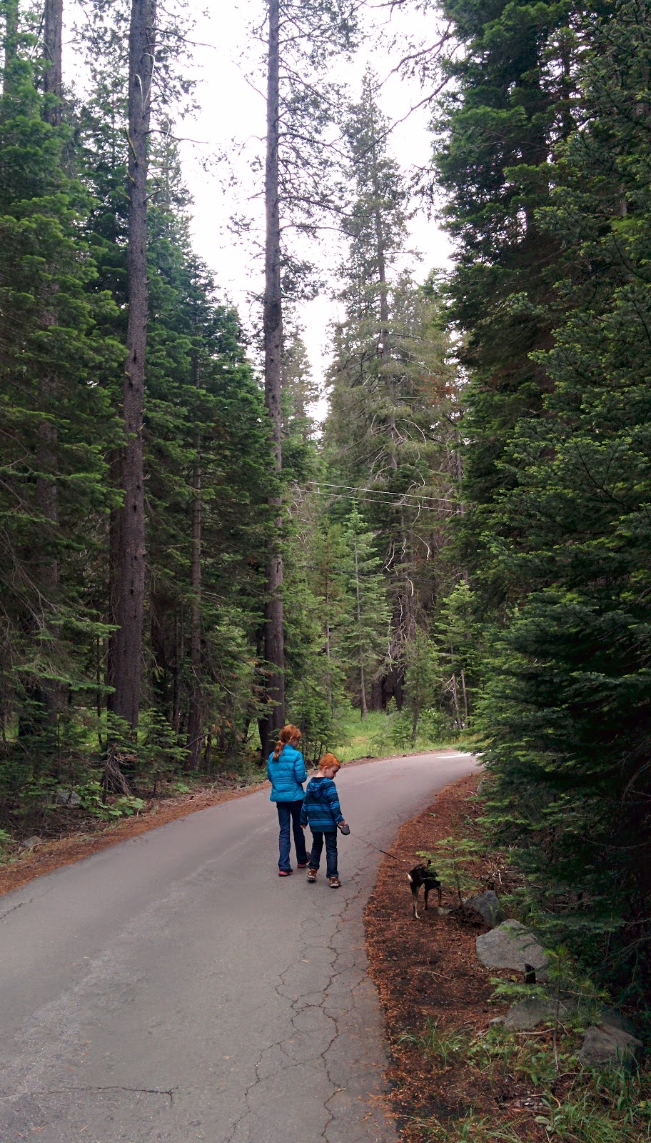 Chapman Creek Campground