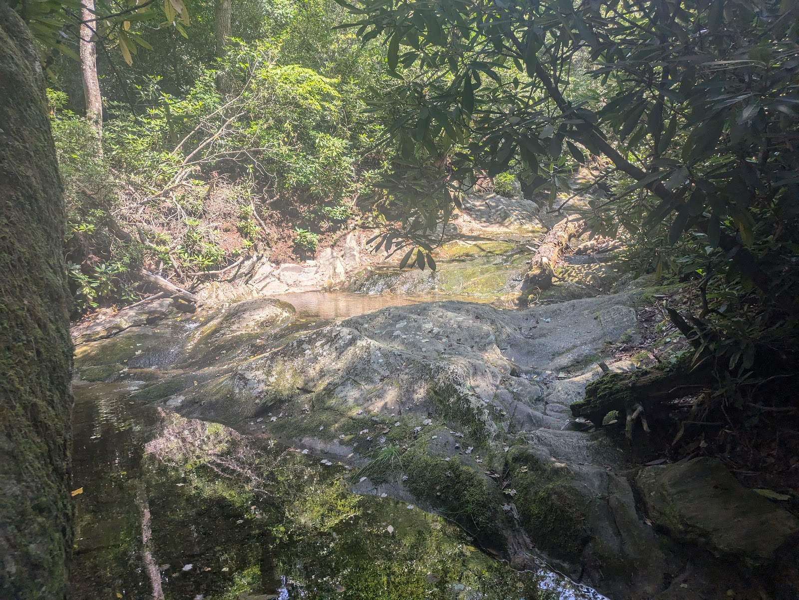 Linville Falls Trailer Lodge and Campground