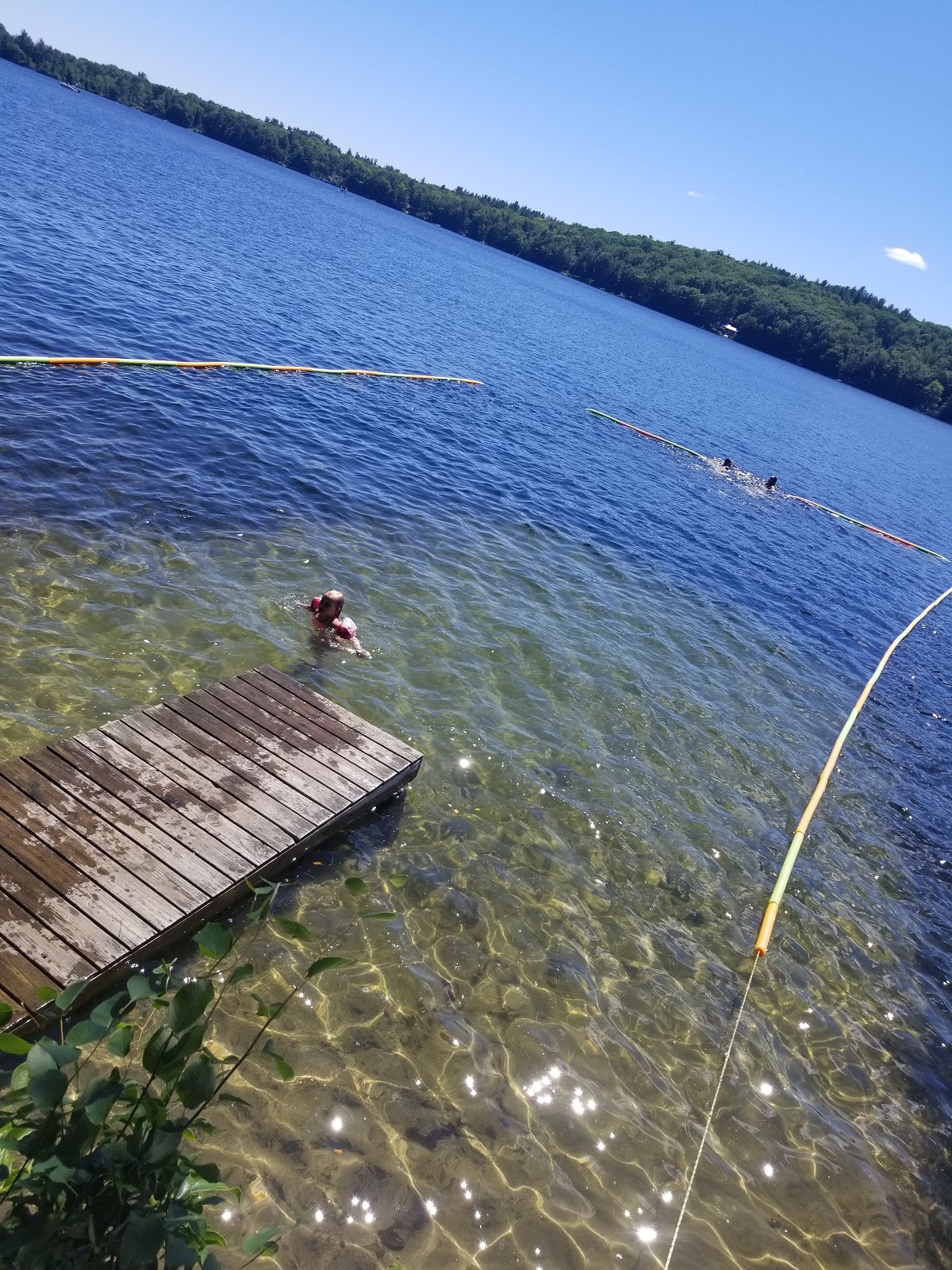 Laurel Lake Campground