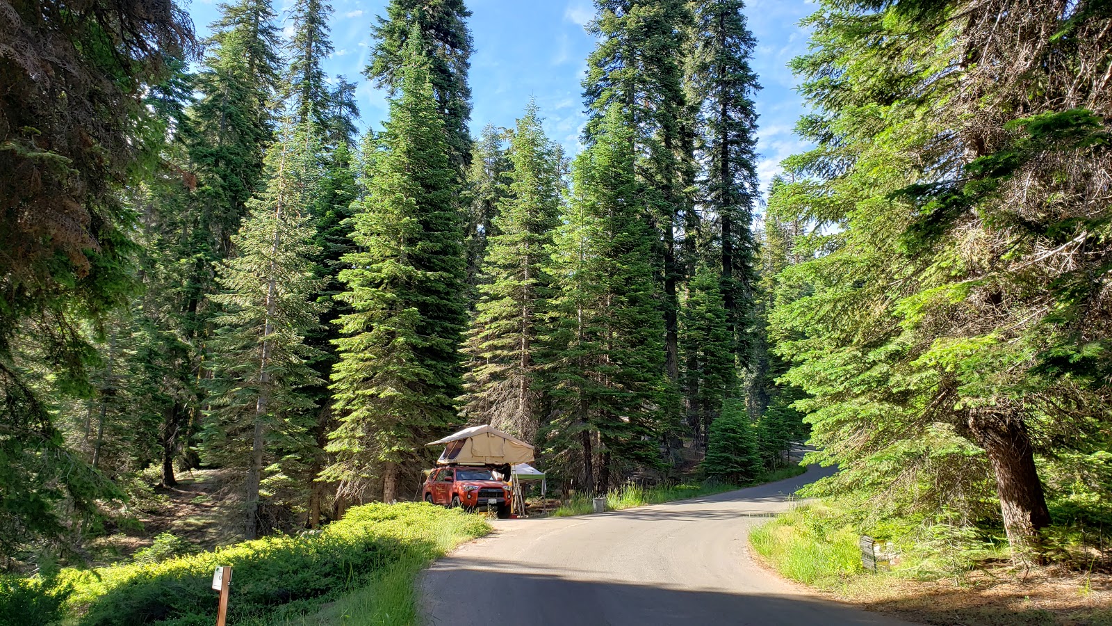 Dorst Creek Campground - Sequoia National Park