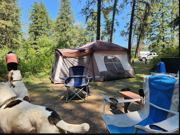 Kamloops Island Campground
