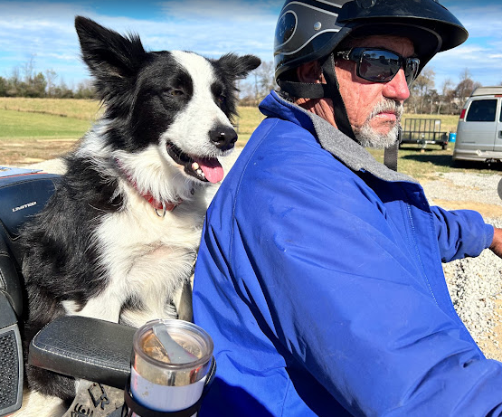 Country Life RV Parks & Services