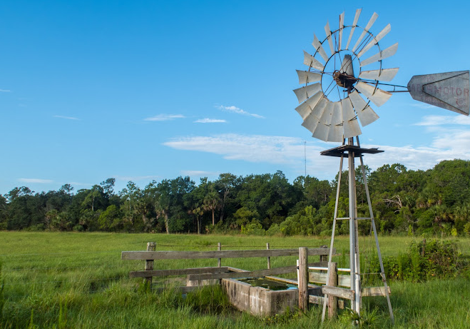 Charles H. Bronson Wildlife Management Area