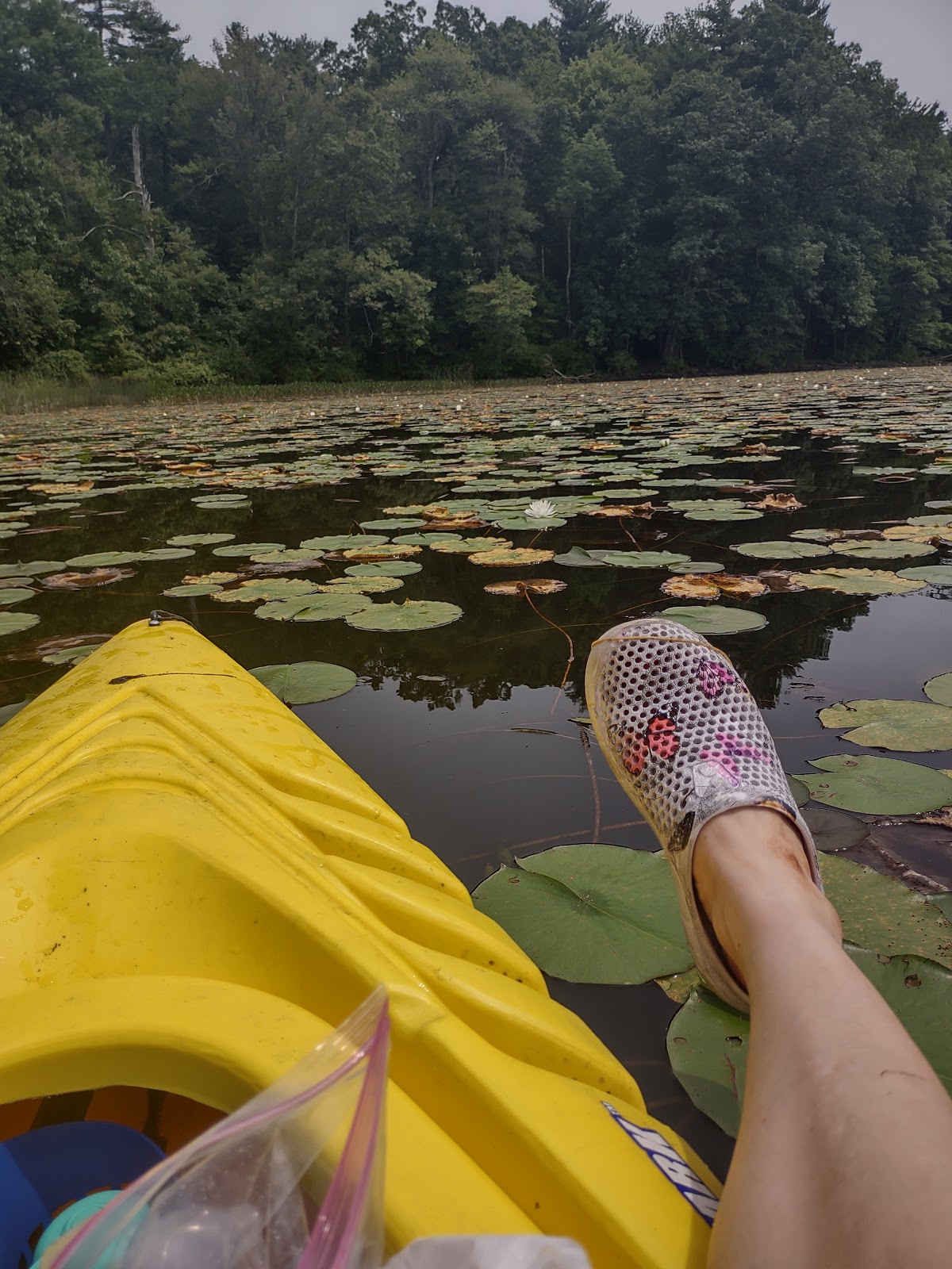 Barton Cove Campground and Canoe Rental