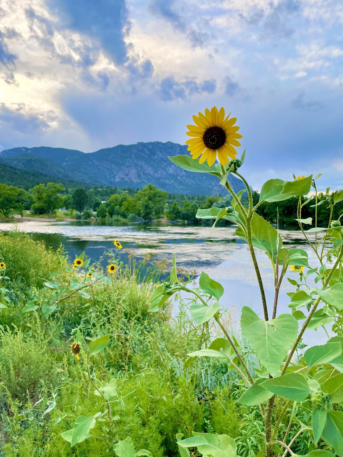 Golden Eagle Ranch RV Park