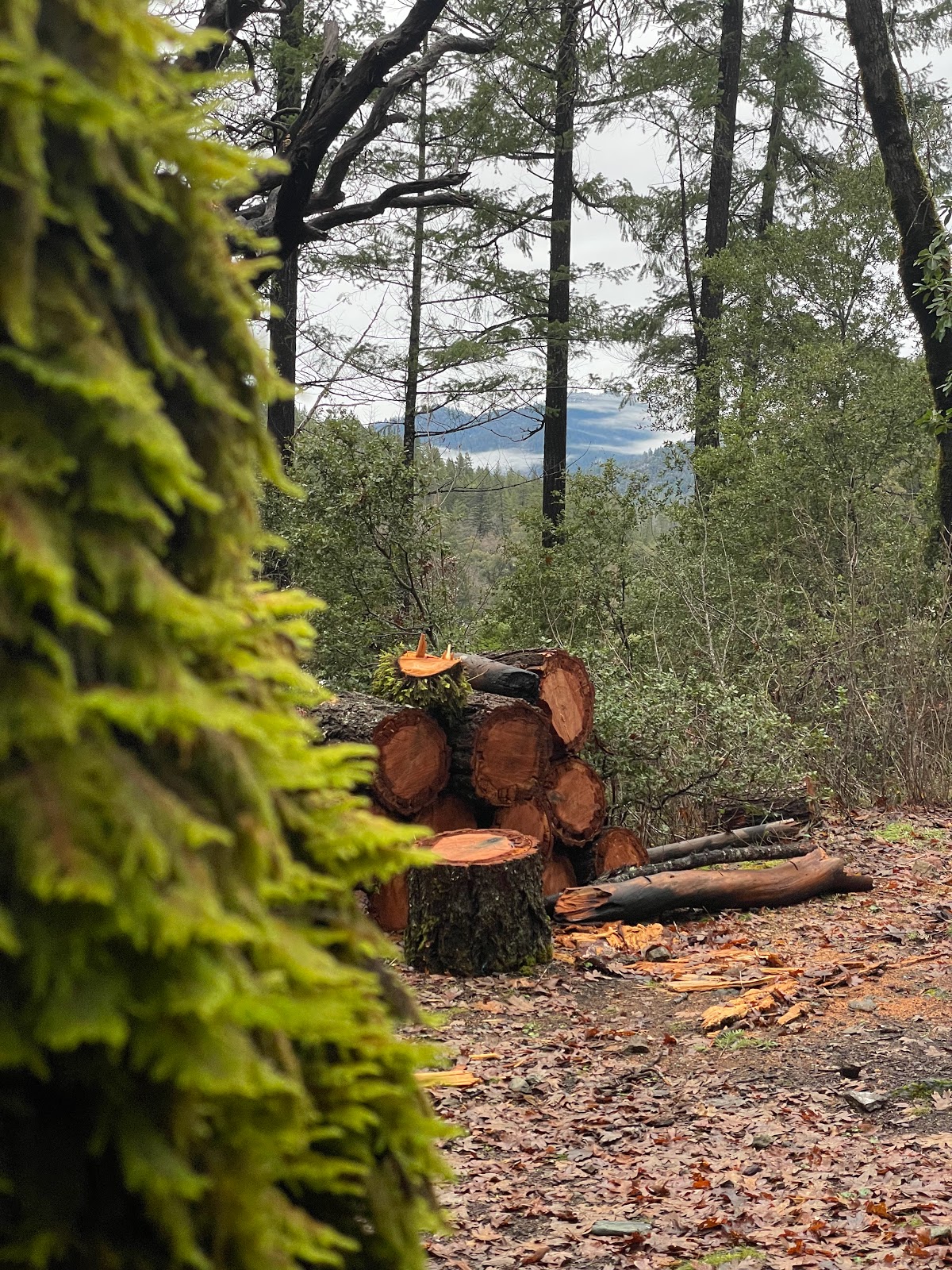Slide Creek Campground
