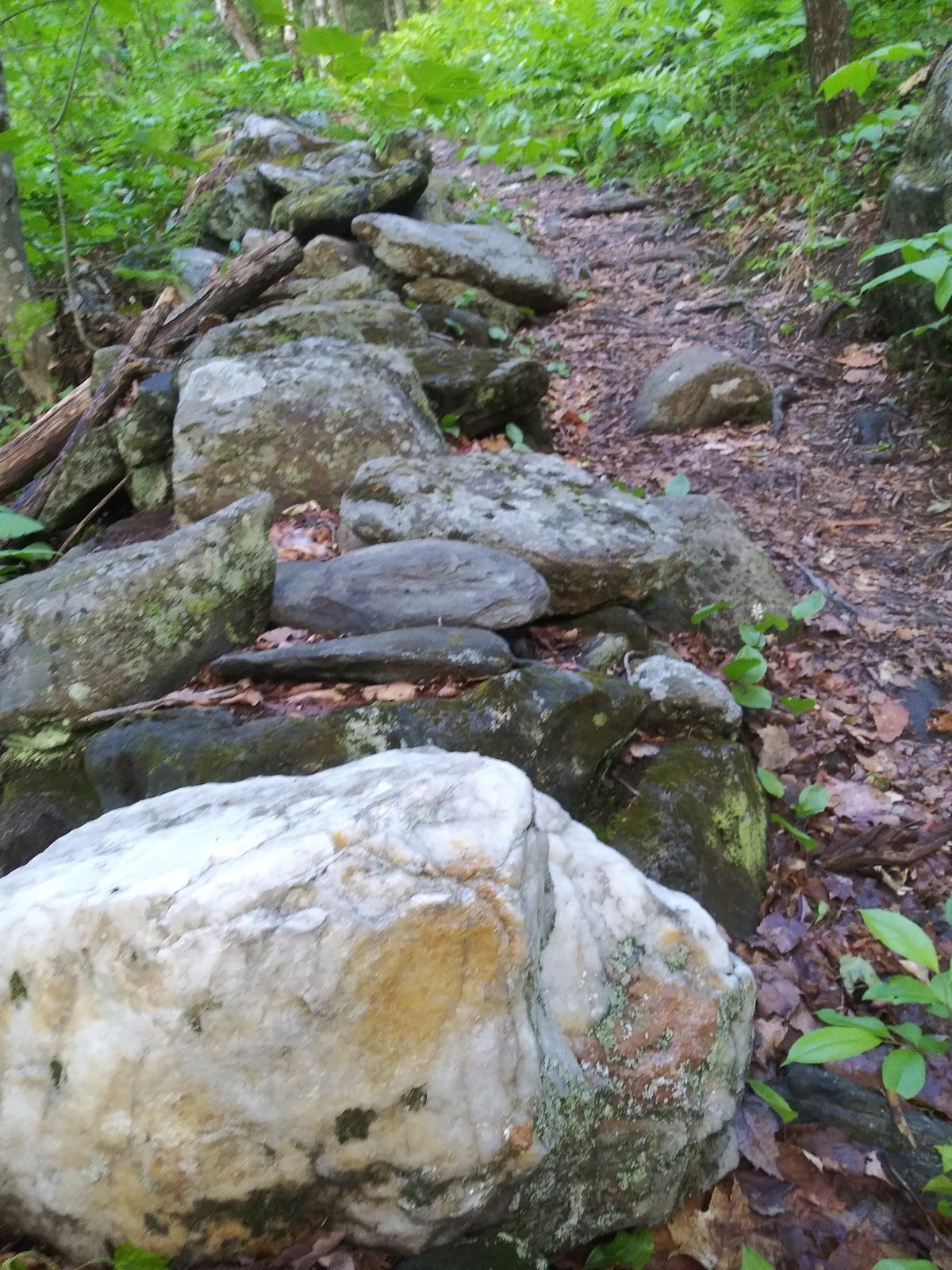 Molly Stark State Park