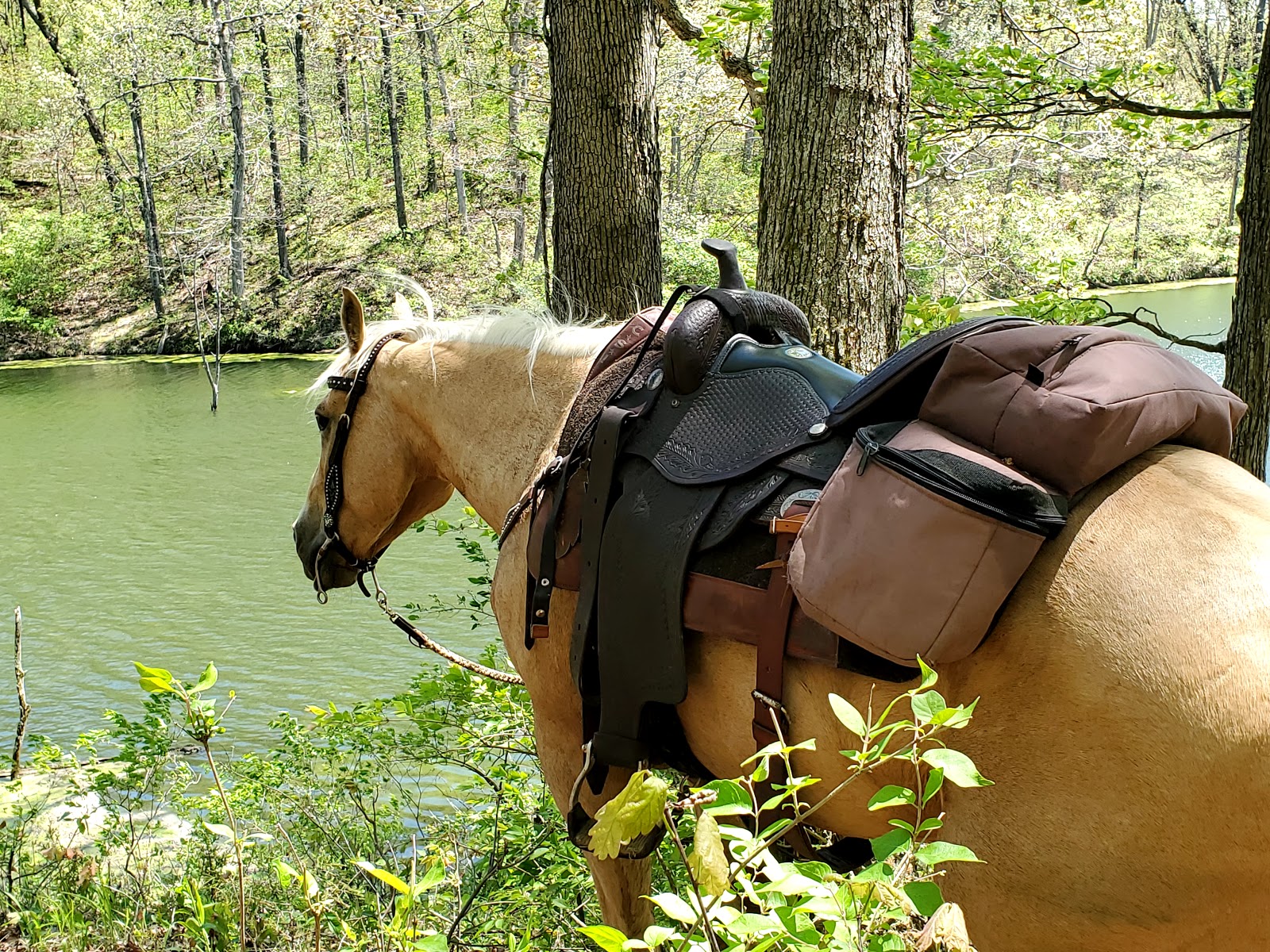 Blake Lowry Campground at Lake Lou Yaeger
