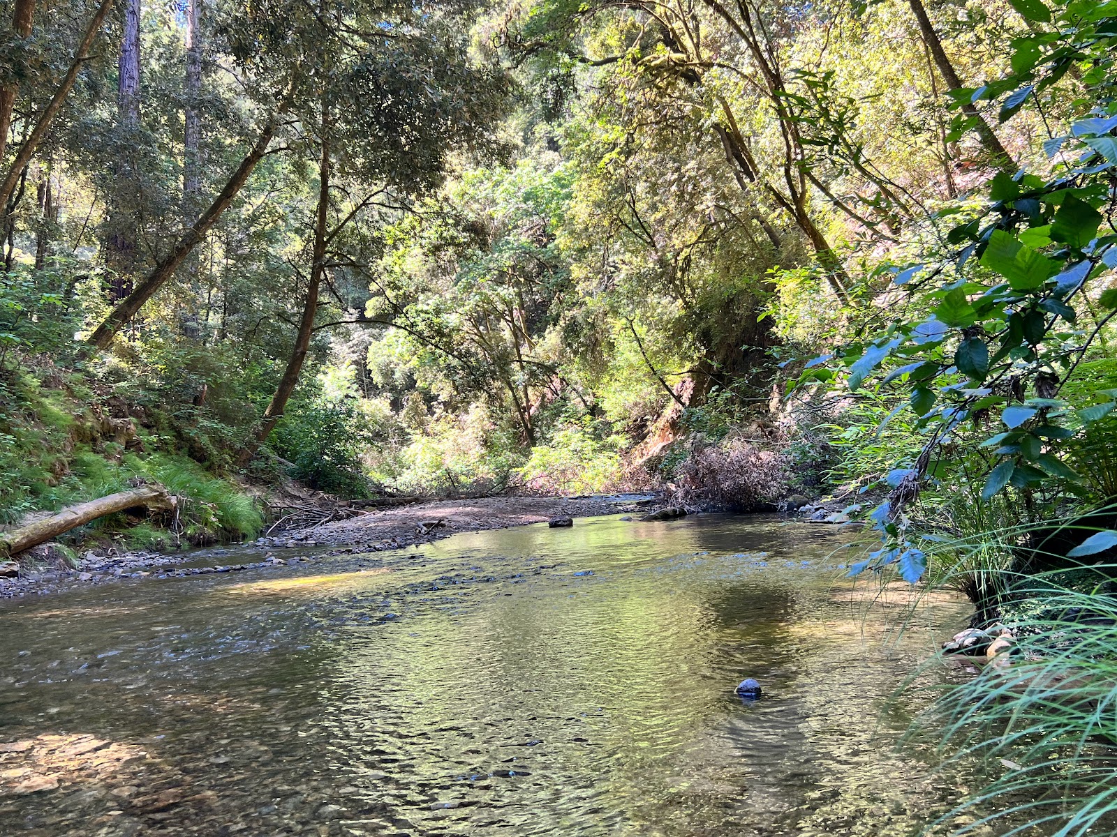 Memorial County Park