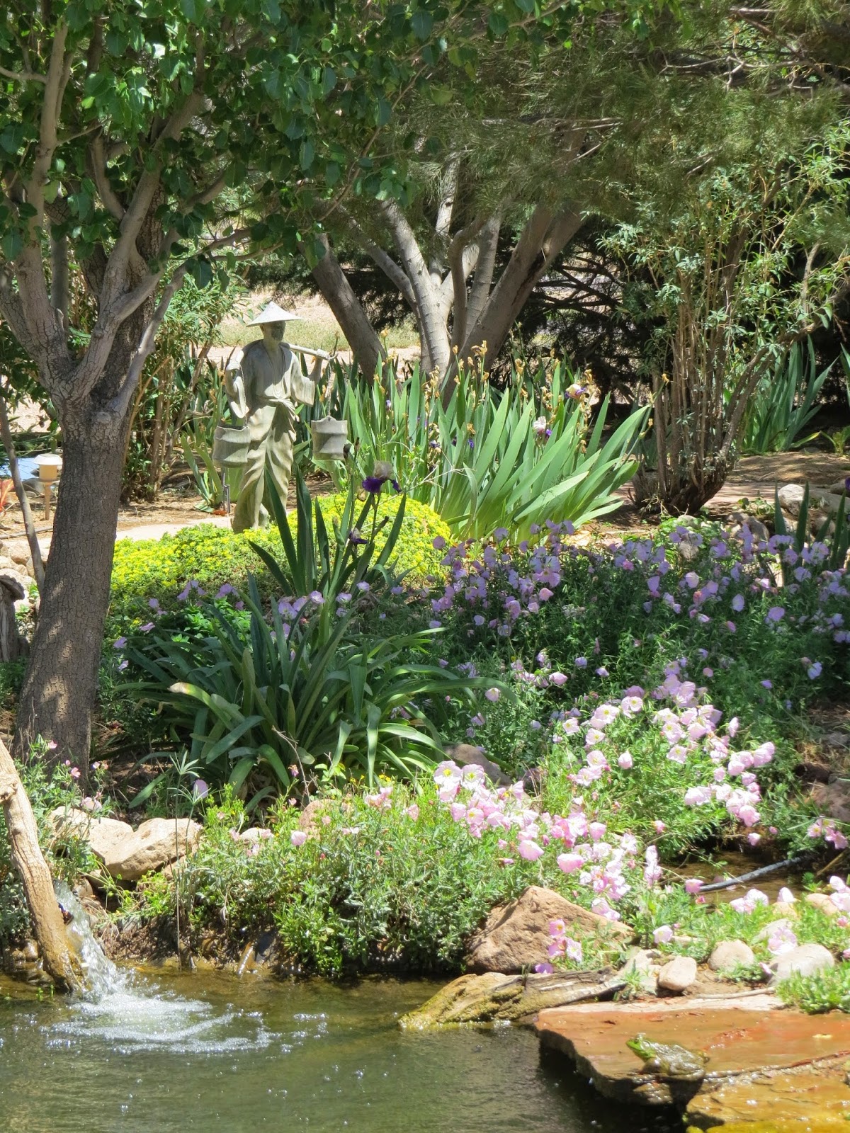 Caballos de las Estrellas