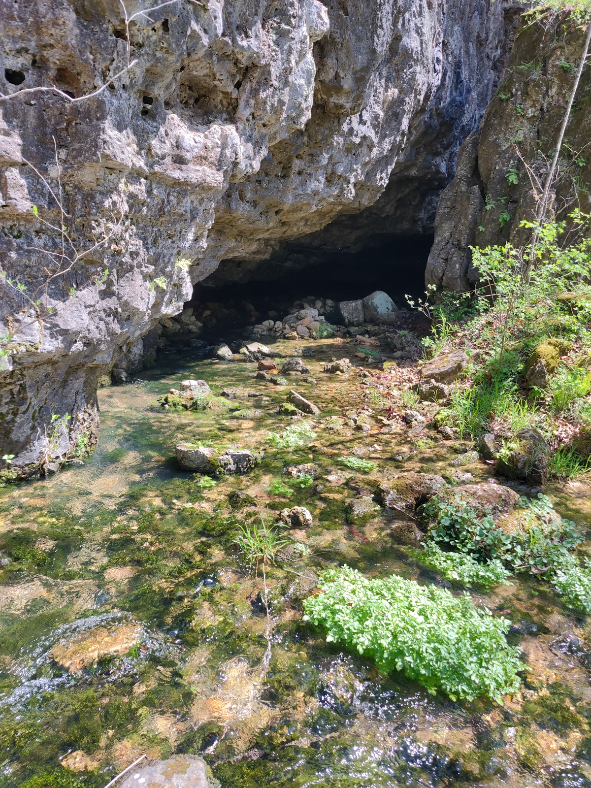 North Fork River Ranch