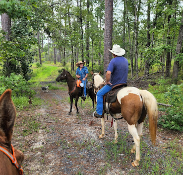 Gum Springs Horse Campground
