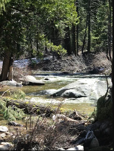 Big Silver Group Campground