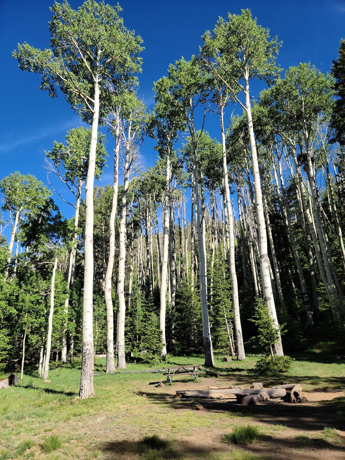 Lockett Meadow Campground