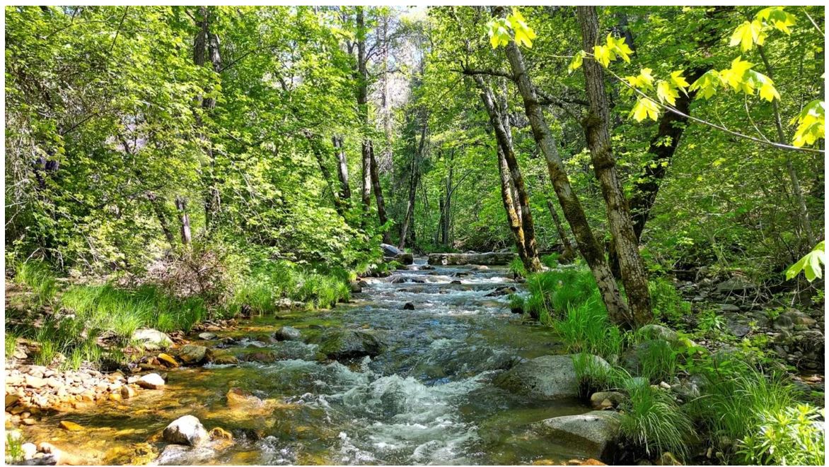 River Ranch Campground