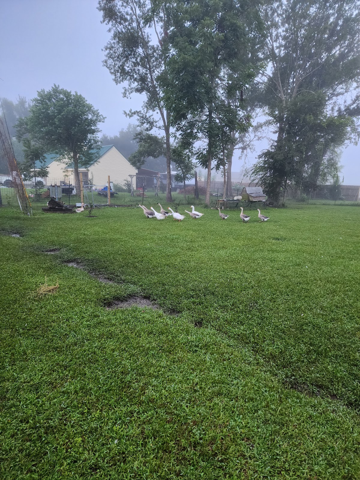 Belle Terre RV Hideaway