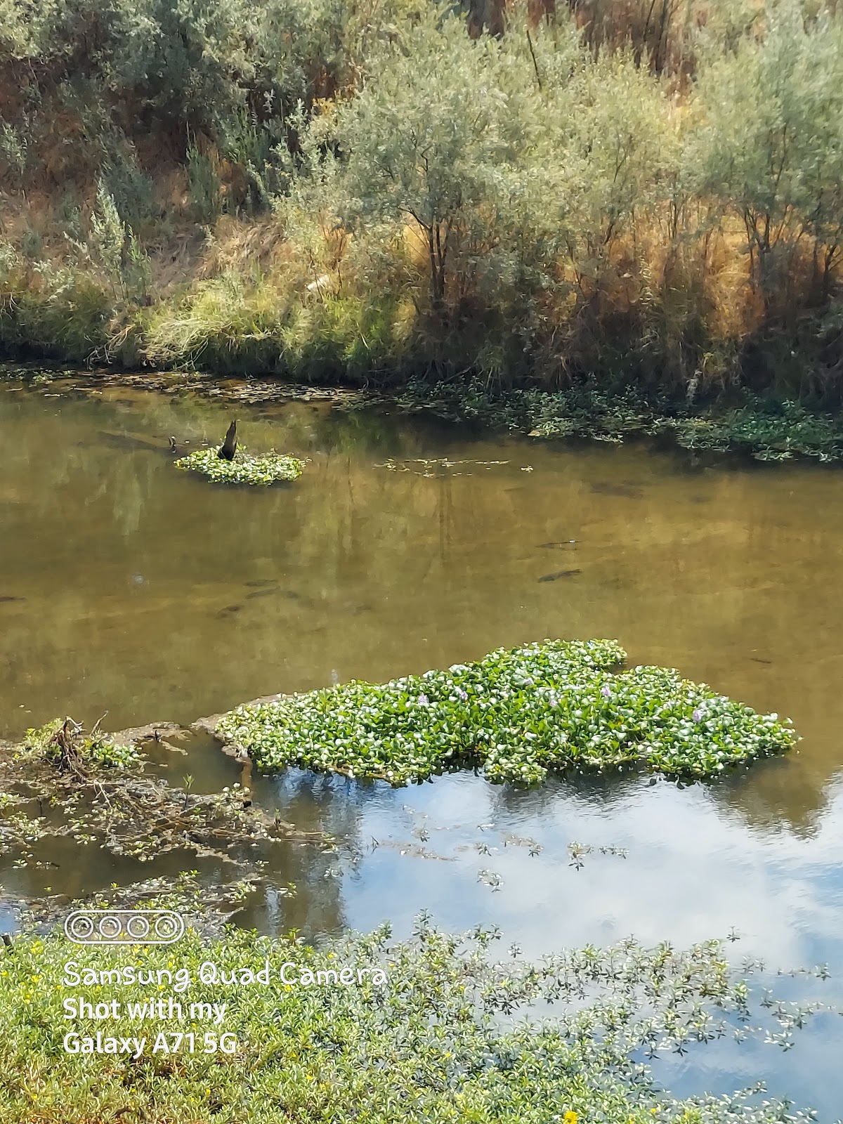 GNP--MERCED RIVER RESORT