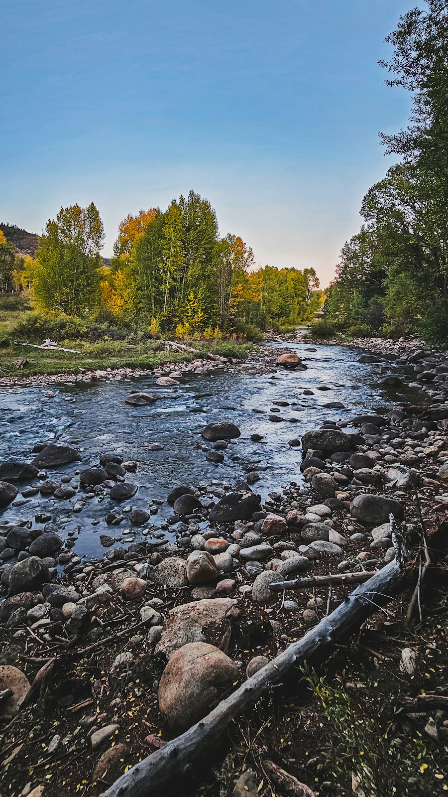 Dearhammer Campground