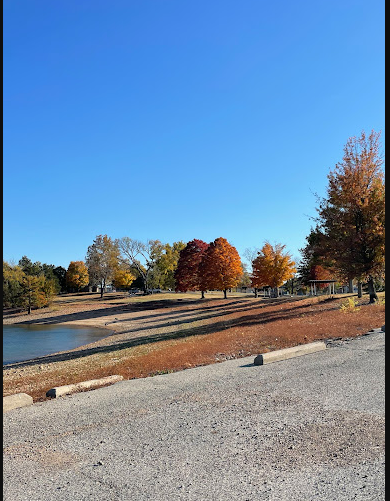 Dam Site River - Beaver Lake