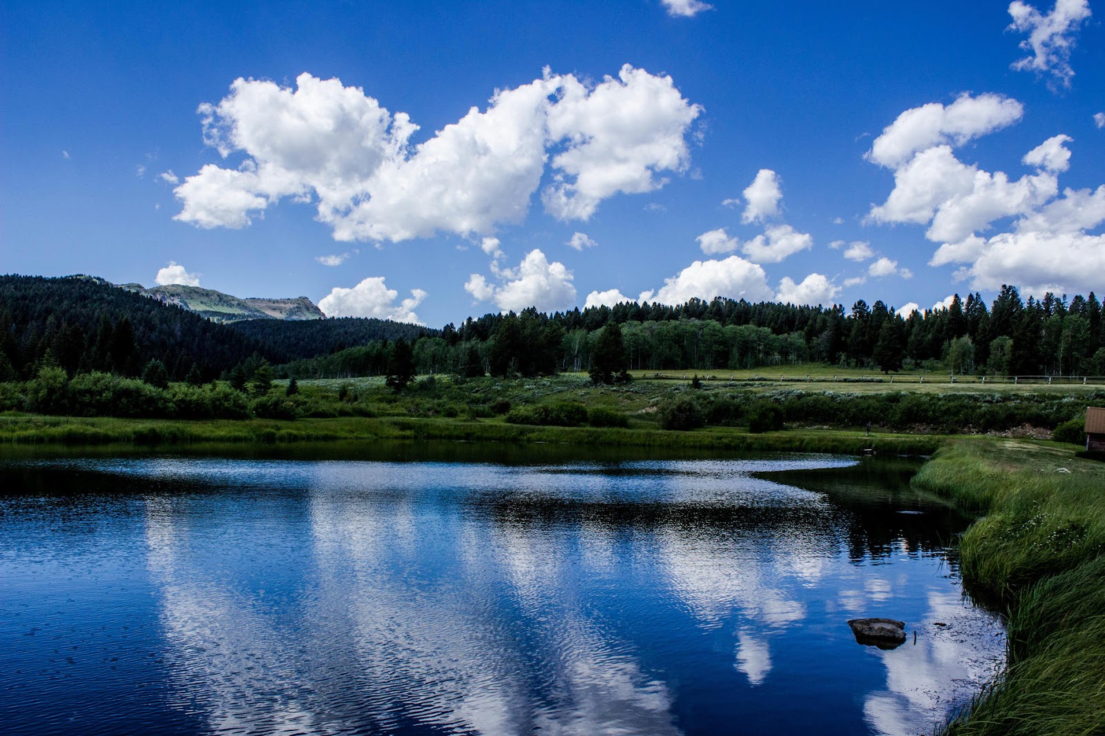 Yellowstone Park - Mountainside KOA Journey