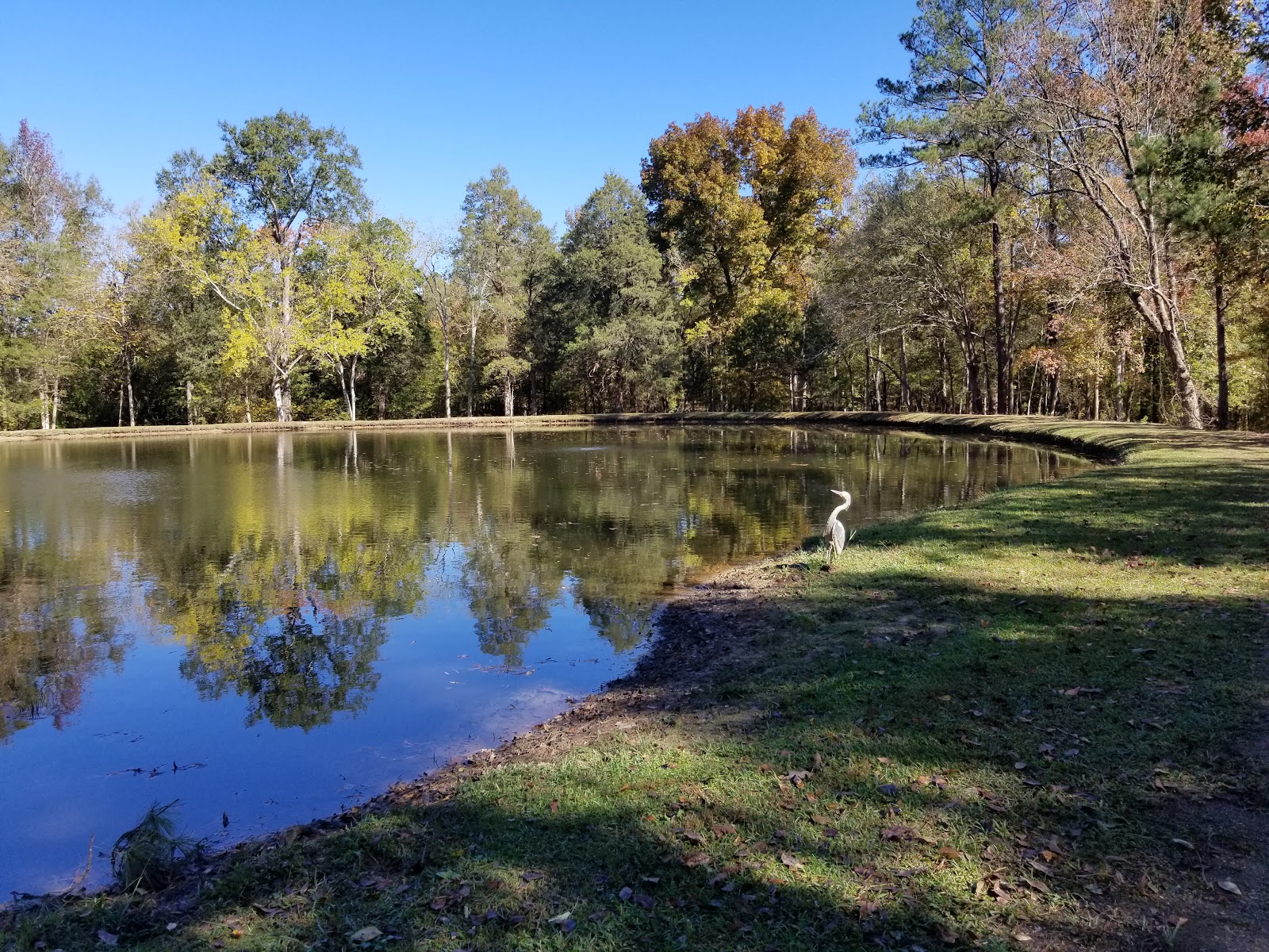 Woodsmoke Family Campground