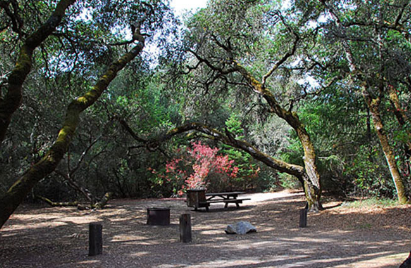 Lake Pepin Campground