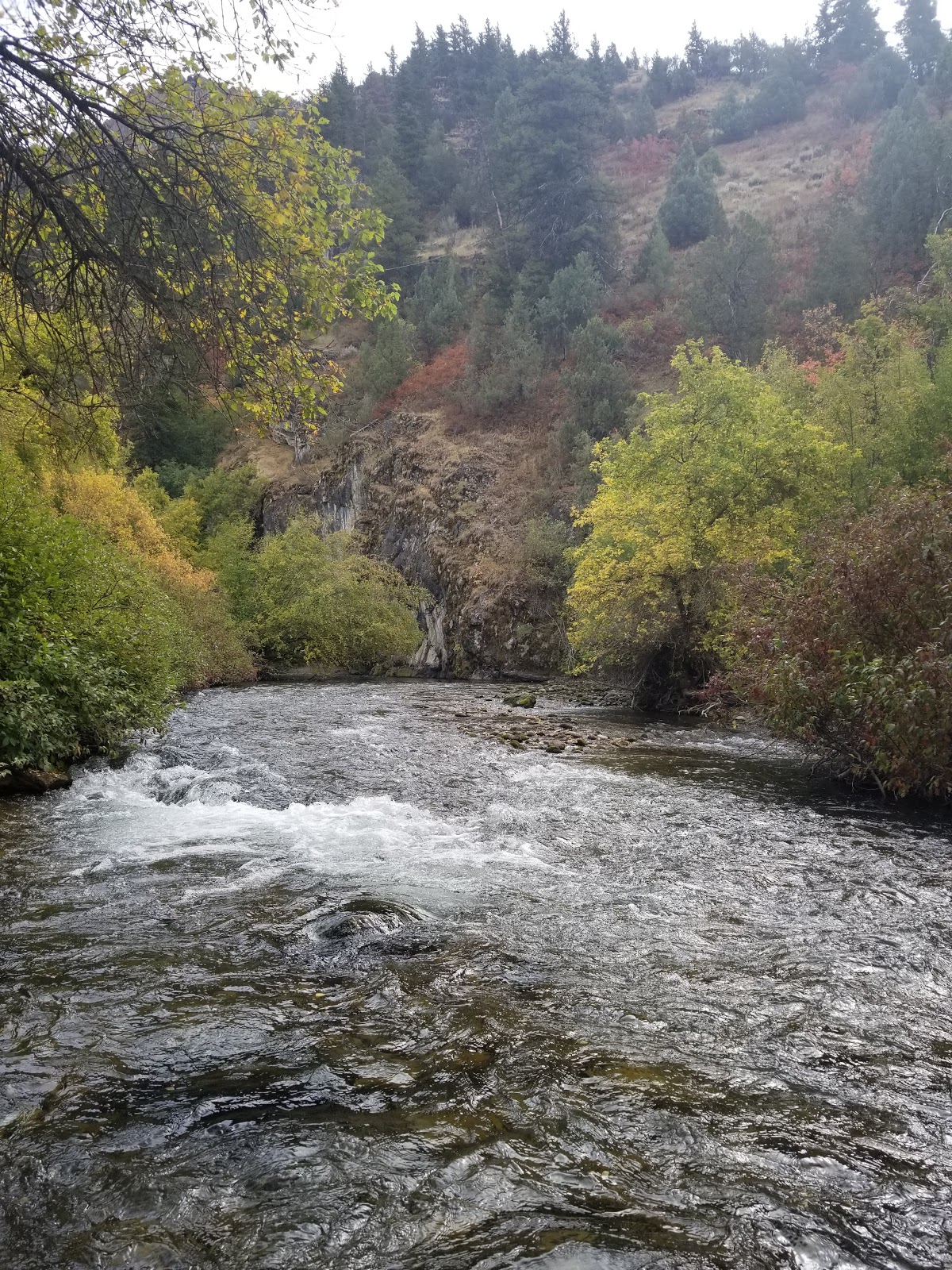 Preston Valley Campground