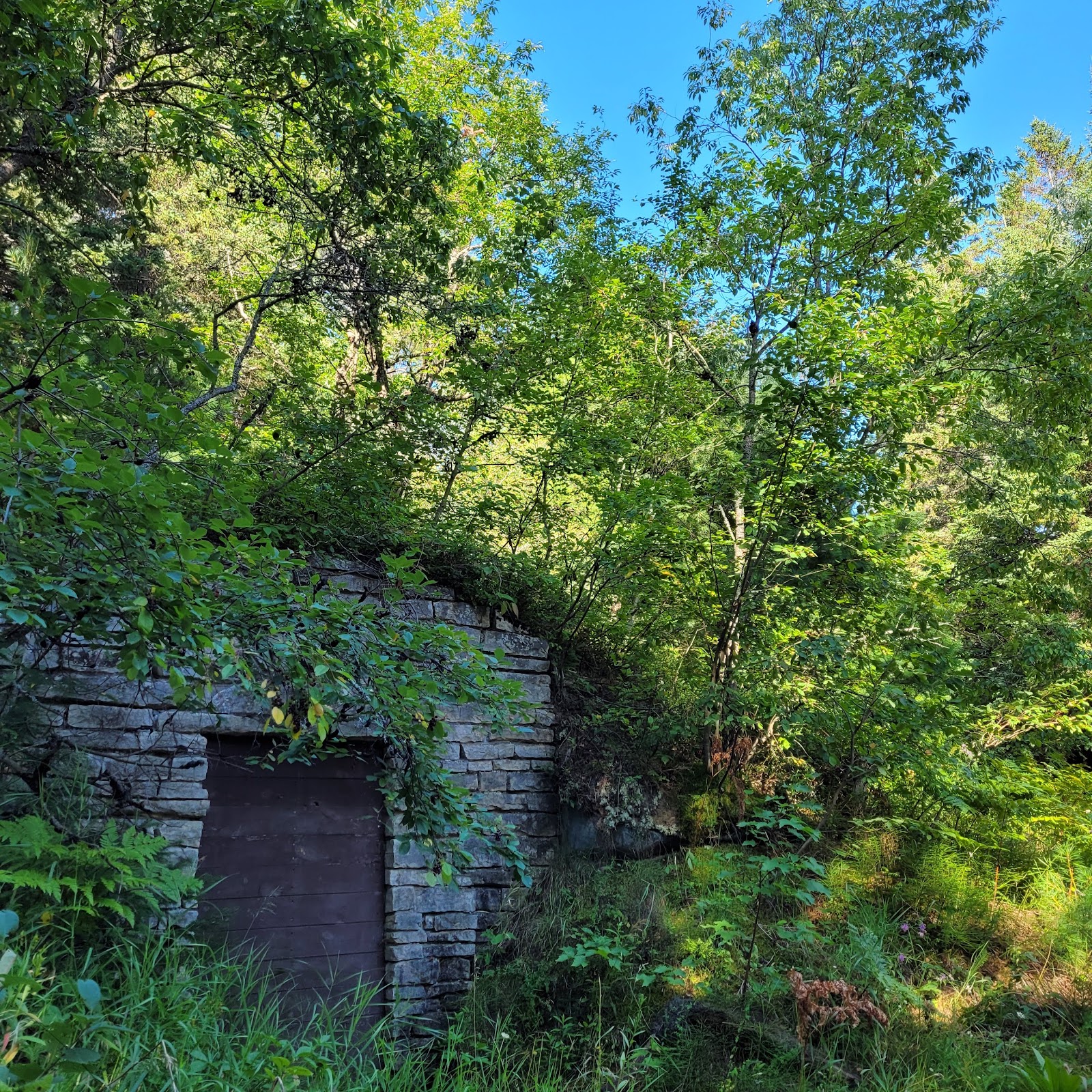 East Branch Fox River SF Campground