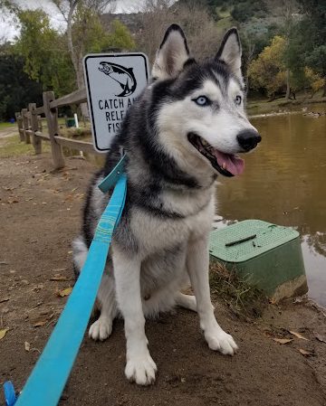 Woods Valley Kampground