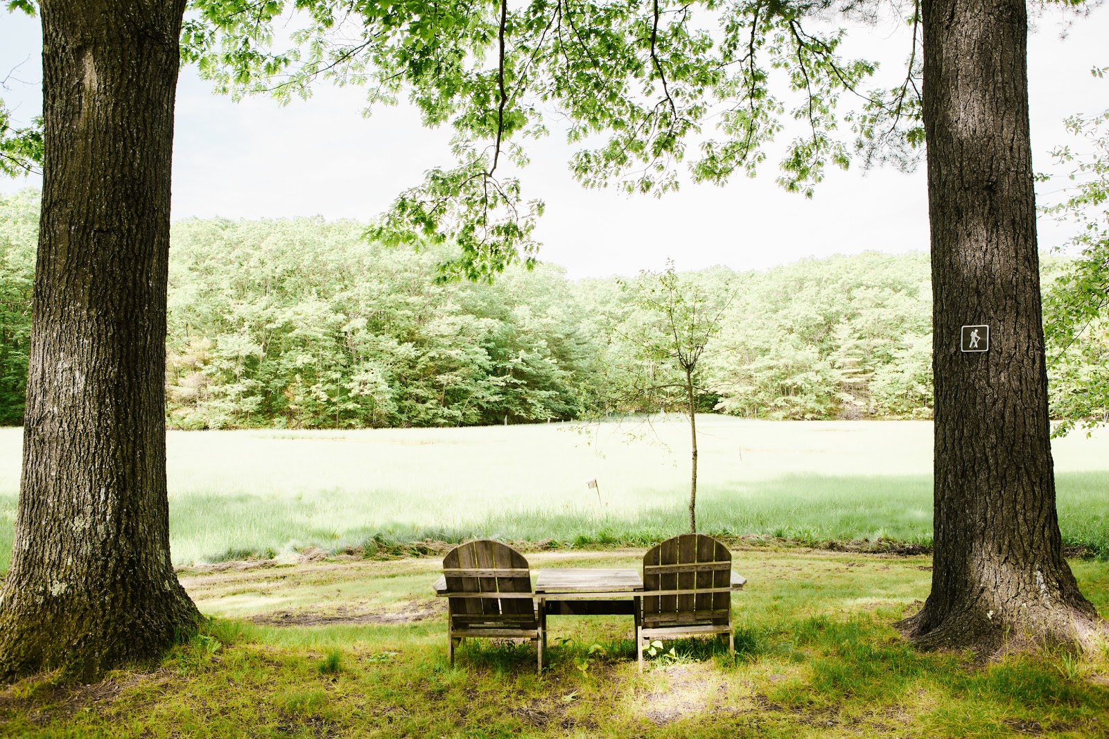 Wild Duck Campground