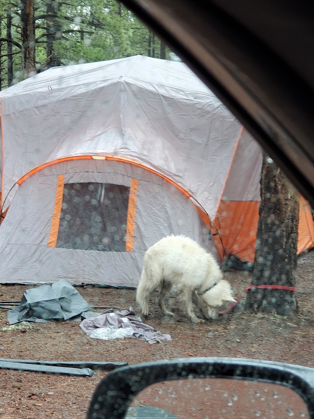 Benney Creek Group Campground
