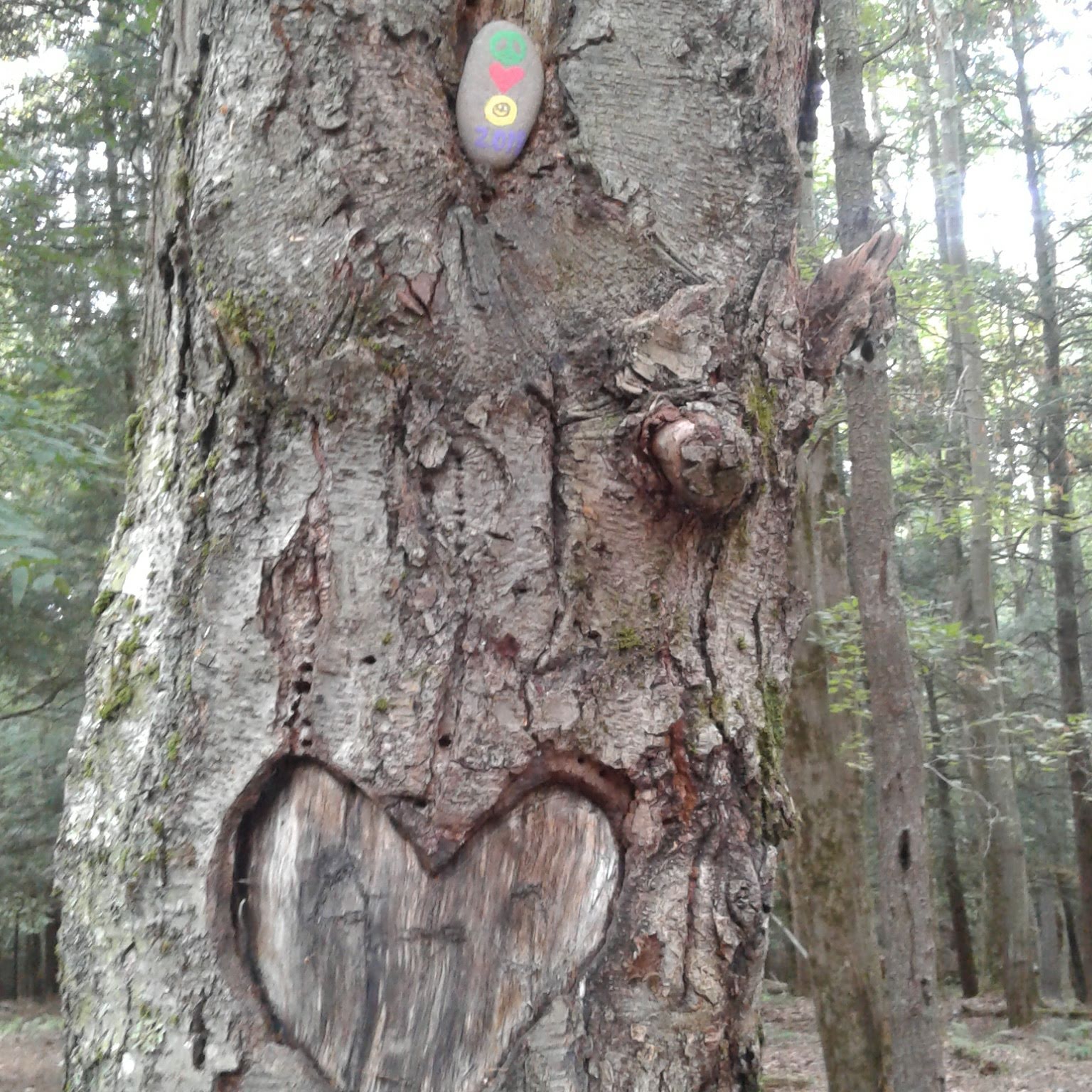 Happy Days Campground