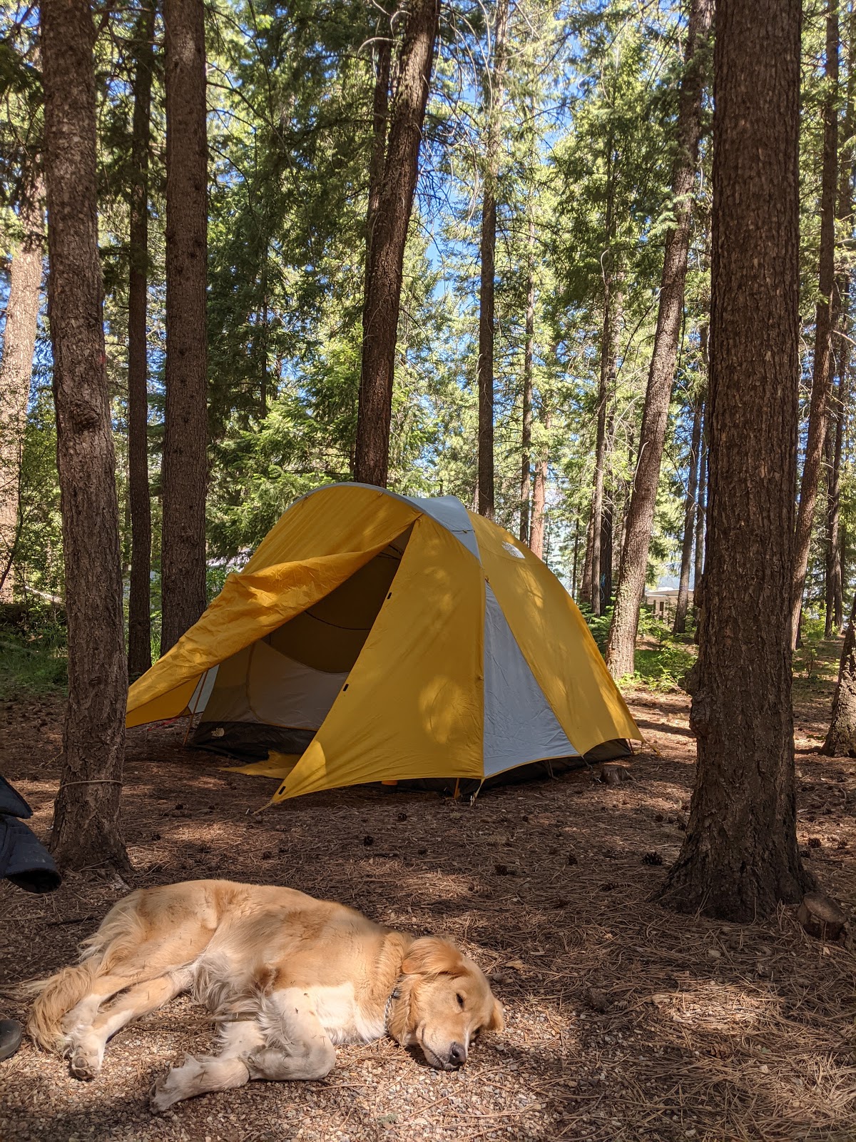 Pine Point Campground